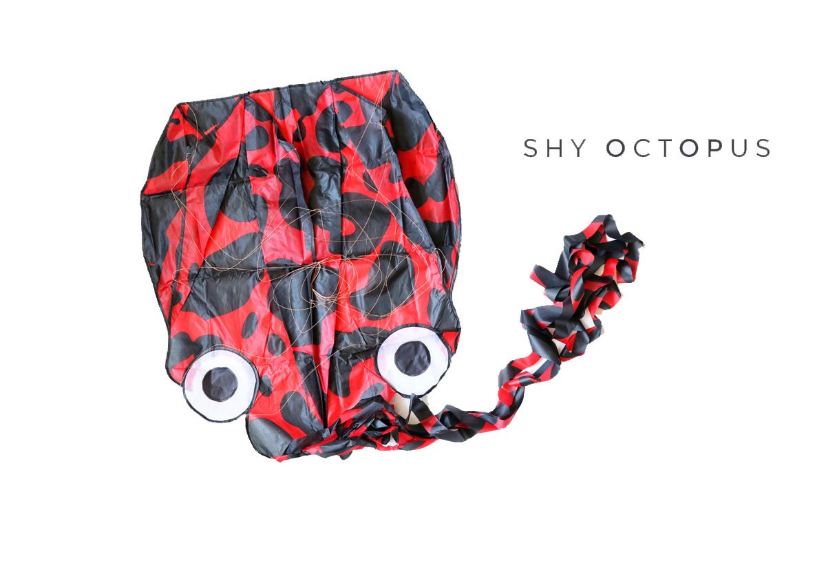 Kizh Kite Octopus Large Frameless Soft Parafoil Kites For Kids And Adults Easy Flyer Kite For Beach Park Garden Playground 150 Inchs Long Perfect Outdoor Fun(Red)