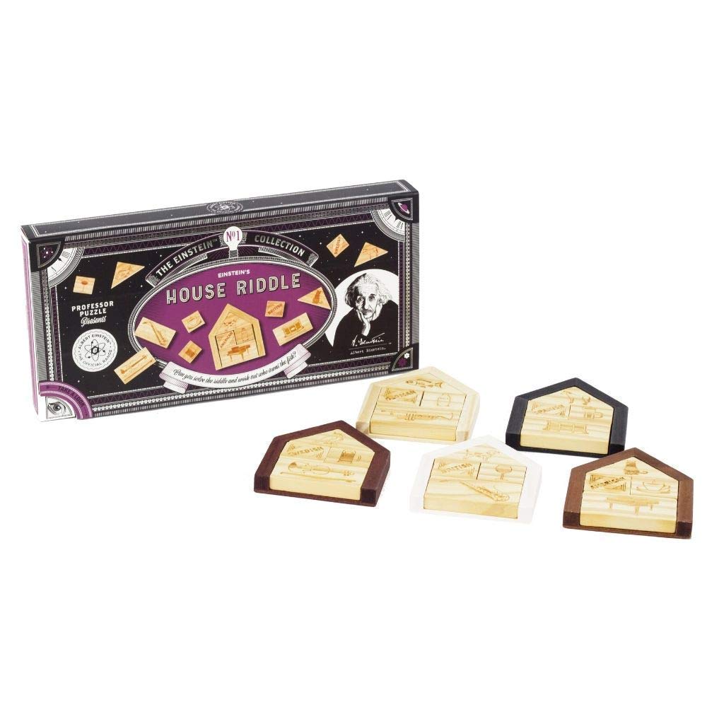 The Einstein Collection Einsteins House Riddle/Riddle Based Brain Game/Professor Puzzle 3D Brain Teaser Puzzles