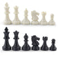 DINOBROS Chess Pieces Only Magnetic Plastic Chessman Set for Replacement of Missing Pieces - Complete Set of 32 Unweighted Game 