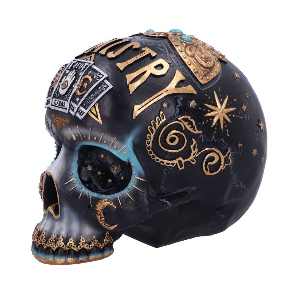 Nemesis Now Destiny Skull, Black, 18Cm