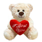 Yolinyoish Stuffed Teddy Bear Dolls With Heart Cute Animal Plush Toy For Girlfriend Mom Anniversary Valentines Birthdays Gifts 1