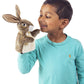Folkmanis Little Hare Puppet
