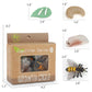 Boticako Montessori Life Cycle Learning - Montessori Life Cycle Animal Figures With Flash Cards, Plastic Insects Monarch Butterf