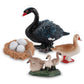 Life Cycle Of Swan Toys Black Geese Figurines Realistic Farm Animals Preschool Animals Figures Eduactional Project Diorama Model