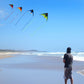 Delta Kites For Adults, Easy To Fly Kites, Best Kites (4 Pack Could Be Stacked)