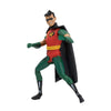 DC Direct Batman The Animated Series 6 Inch Action Figure Wave 1 - Robin