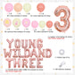 Joymemo Groovy 3Rd Birthday Party Decorations, Young Wild And Three Daisy Flower Balloons Garland Kit, Groovy Retro Boho Girls Third Birthday Party Supplies