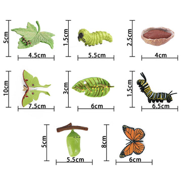 Sienon 4Pcs Butterfly Life Cycle Toy Figurines And 4Pcs Actias Ningpoana Figure-Plastic Caterpillar To Monarch Butterfly Growth Cycle Toy Insect Figures Teaching Tools School Project For Kids