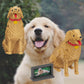 HONLANCH Golden Retriever Micro Building Blocks Set (2929PCS) - Plastic Model HL004, Gift for Adults and Kids