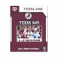 Texas A&M Frame
