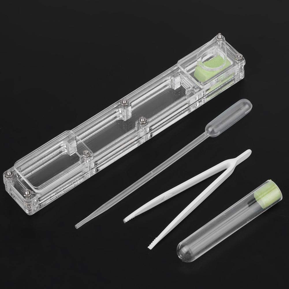 A Sixx Ant Breeding Box, Acrylic Ant Breeding Nest Ant Farm House Ant Display Box With Water Tower, Moisturizing, With 1Pcs Drop