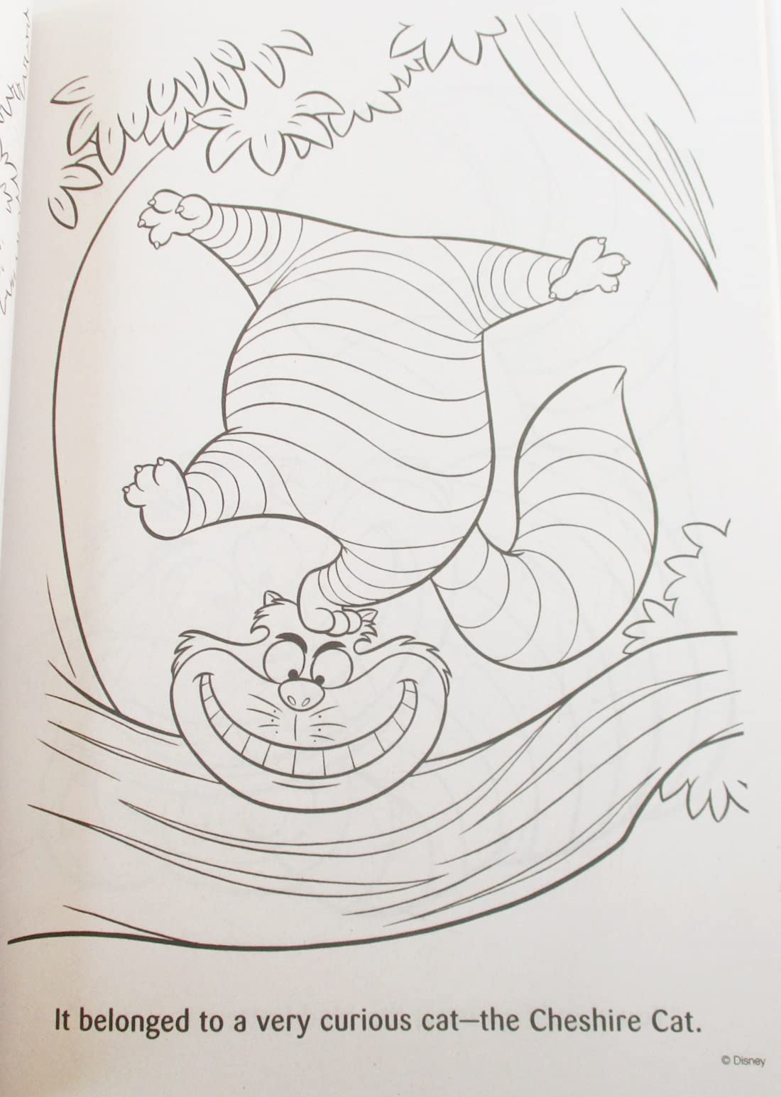 Alice In Wonderland Coloring And Activity Book Colortivity ''Welcome To Wonderland'' - 80 Pages