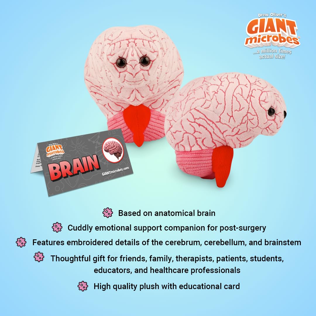 Giantmicrobes Brain Plush, Brain Toy, Brain Stuffed Animal, Brain Gifts For Neurologist, Brain Surgery Recovery Gifts, Neurology Gifts, Neuroscience Gifts, Brain Injury Gift, Brain Decor, Biology Gift