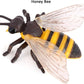 Hvogvok Bee Growth Cycle Set, Lifelike Animal Figures, Educational Kids Toy, 4-Piece Insect Model Kit For Parties