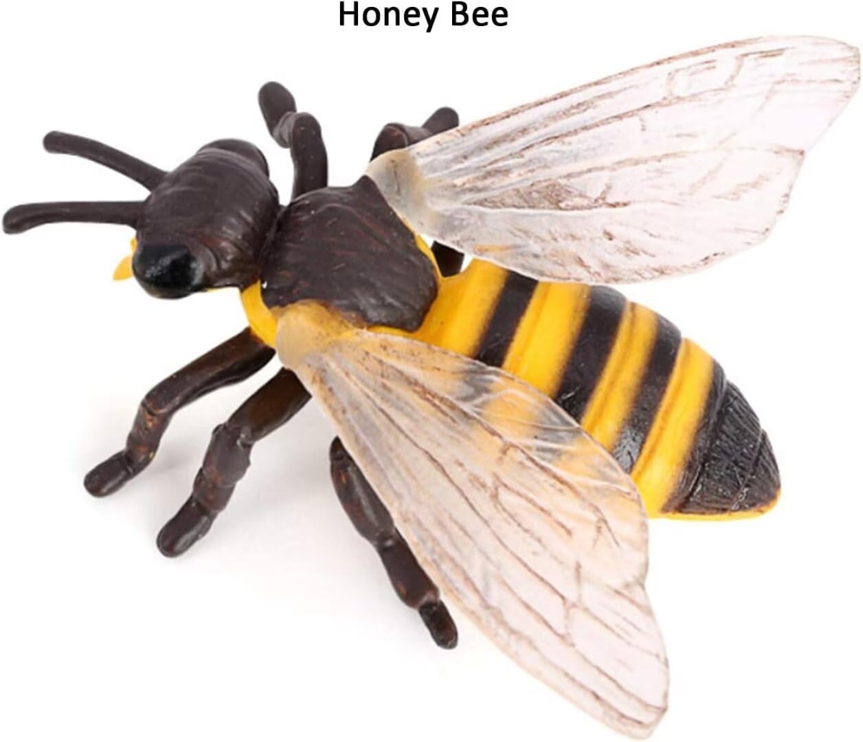 Hvogvok Bee Growth Cycle Set, Lifelike Animal Figures, Educational Kids Toy, 4-Piece Insect Model Kit For Parties