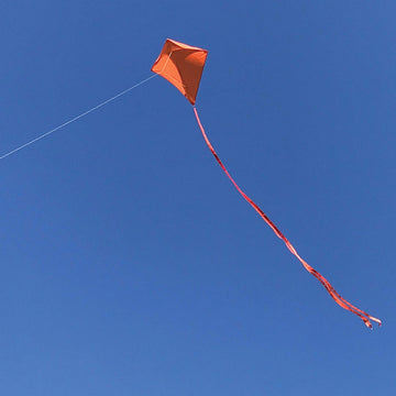 In The Breeze 3298 - Tangerine 30 Inch Diamond Kite - Solid Orange, Fun, Easy Flying Kite