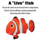 QIAONIUNIU Electric Moving Fish Plush Toy - 5 Inch, Multicolored, Cotton, Clown Model