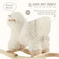 Rock My Baby Baby Rocking Horse Alpaca Llama With Chair, Plush Stuffed Animal Rocker, Wooden Rocking Toy Llama Animal Ride On Fo