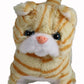 Westminster Casanova The Mechanical Kitten - Orange Striped