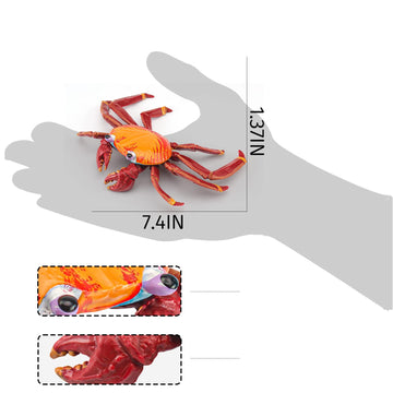 Lc Joycre Hermit Crab Toys Plastic Crab Figurine 5 Inch Sea Creatures Toys For Kids Crab Decor For Collection Realistic Sea Life