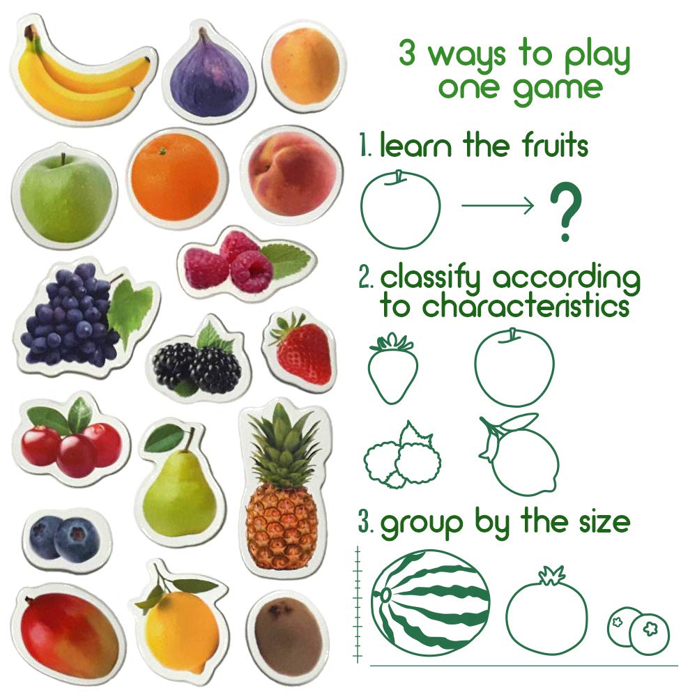 MAGDUM PHOTO FRUITs&Berries - magnets for kitchen -real LARGE fridge magnets for toddlers- Magnetic EDUcational toys baby 3 year old baby - LEARNing magnets for kids- Kid magnets - Development toys