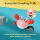 Control Future Baby Girl Toys Tummy Time: Pink Crawling Crab Babies Montessori Toy Learning 36 Months 3 Year Old Birthday Infant