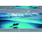 Heye Stingray 1000 Piece David Doublet Panoramic Jigsaw Puzzle