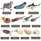 RCOMG 11PCS Prehistoric Sea Creatures Toys, Ancient Cambrian Ocean Animal Figurines Plastic Educational Marine Animal Figures fo