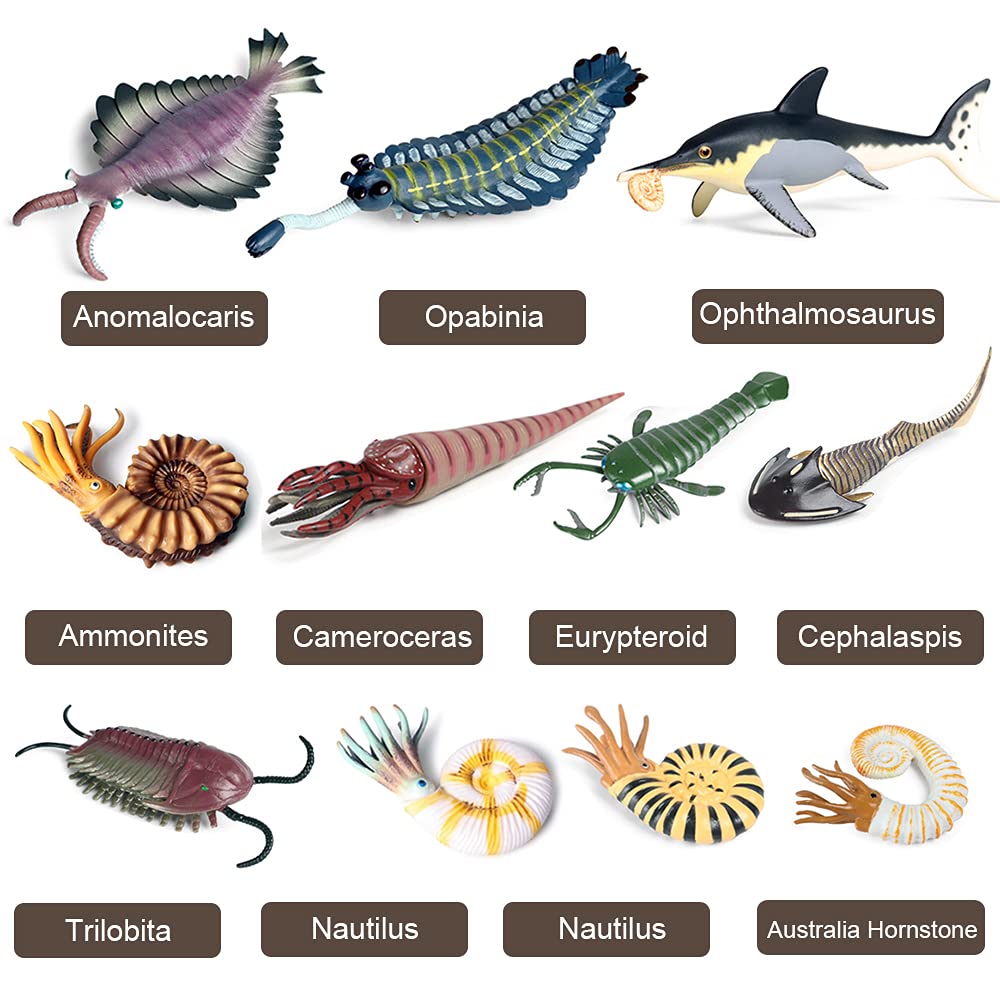 RCOMG 11PCS Prehistoric Sea Creatures Toys, Ancient Cambrian Ocean Animal Figurines Plastic Educational Marine Animal Figures fo