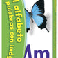 Spanish Alphabet & Picture Words Pocket Flash Cards