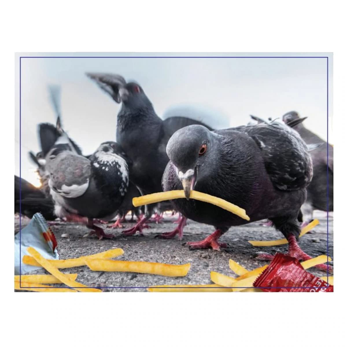 Wilder Games Lovely Birds Prank Puzzle - 300 Piece Jigsaw Puzzle For Adults