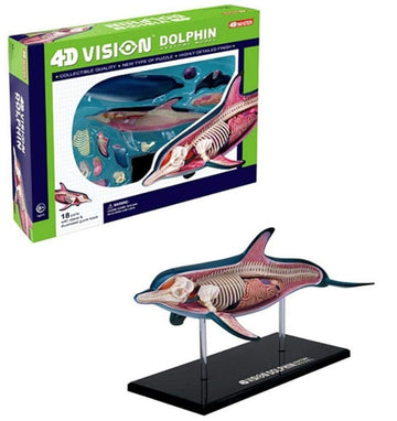 Famemaster 4D-Vision Dolphin Anatomy Model