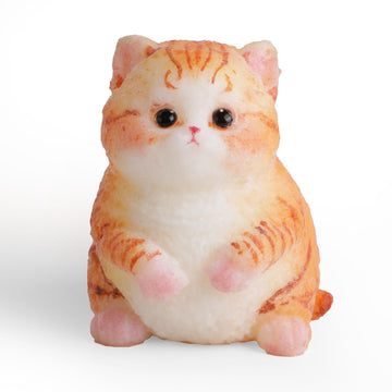 Cute Cat Taba Squishy Kit - Silicone Fat Kitty Fidget Toys For Kids (Orange)