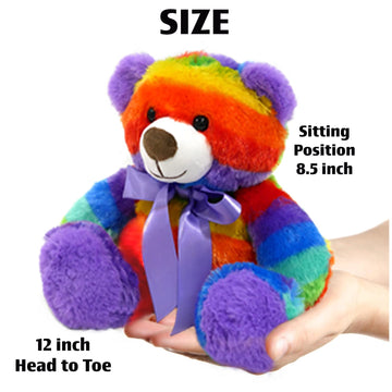 Rainbow Teddy Bear for Girls and Boys Plush Stuffed Animal Cuddly Soft Cheer up Gift 12 inch