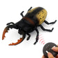 Tipmant RC Beetle Remote Control Insects Realistic Electronic Simulation Climber Animal Prank Toy Vehicle Kids Birthday Gifts (Y