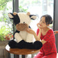 pangcangshu Cow Year Plush Toy Cute Cattle Stuffed Animals Cattle Soft Doll Kids Toys Birthday Gift for Children Easter  Thanksgiving  Christmas  New Year's Gifts (Black and White  70cm/27inch)