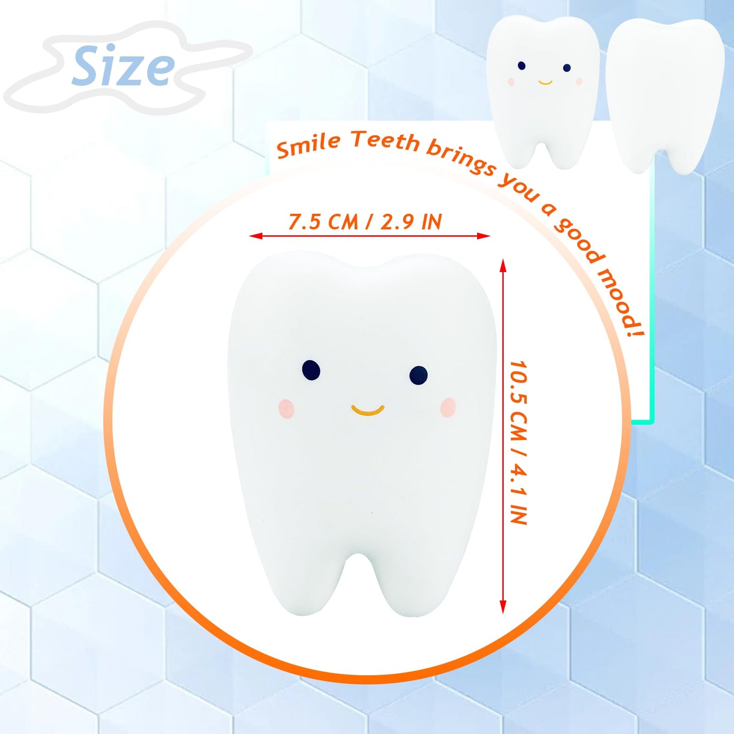 Funnysquee Tooth Squishies Squeeze Toy For Dental School Gifts - Fun And Effective Dental Toys & Gifts(2 Pcs)