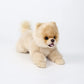16 Inch- Pomeranian Stuffed Animals Toy Dog,Plush Puppy Realistic Cute Toy Dog Present Gift For Girls Boys