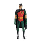 DC Direct Batman The Animated Series 6 Inch Action Figure Wave 1 - Robin