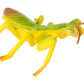 Praying Mantis 4 Piece Life Cycle Figures - 2' Bug Toys By Insect Lore
