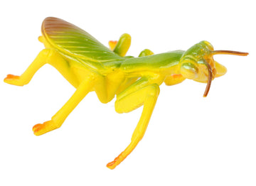 Praying Mantis 4 Piece Life Cycle Figures - 2' Bug Toys By Insect Lore