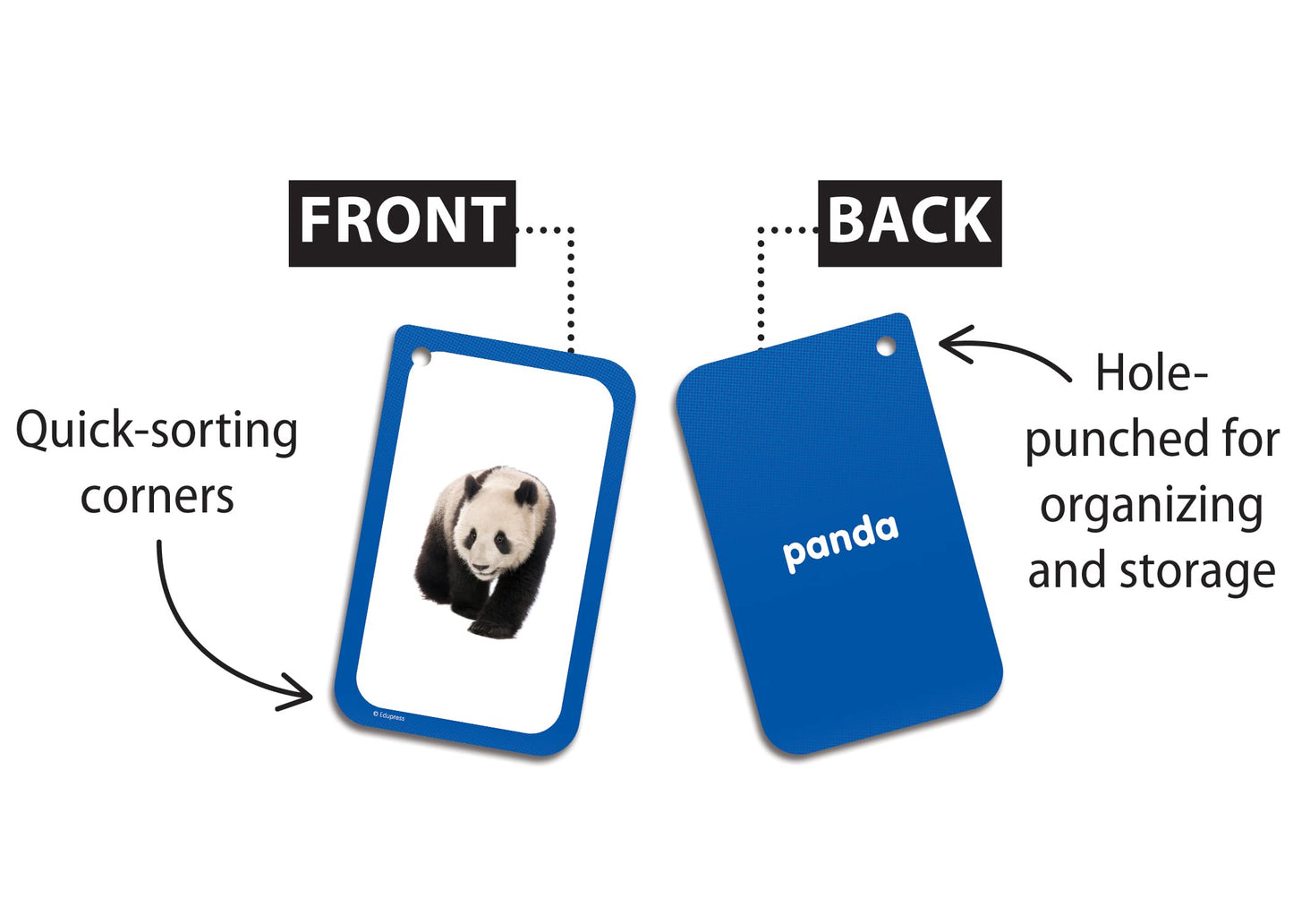 Categories Flash Cards
