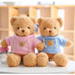 Galatee Cute Teddy Bear Plush Stuffed Animal, Teddy Bear With Coffee Hoodie, Gifts For Children(19.6' Pink)
