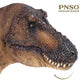 Pnso Dinosaur Museums Series (Andrea The Tyrannosaurus Rex 1:35 Scientific Art Model)