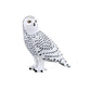 Mojo Snowy Owl Realistic International Wildlife Hand Painted Toy Figurine