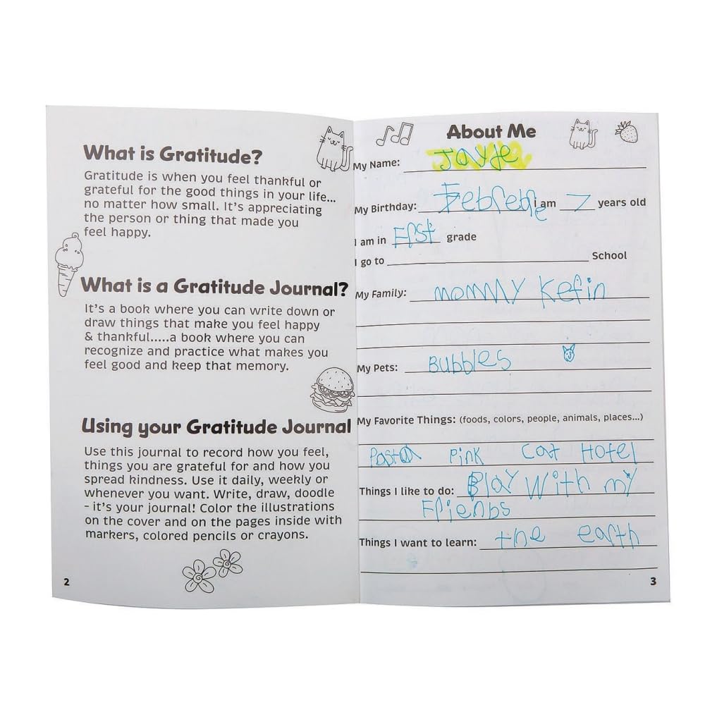 S&S Worldwide Kid'S Gratitude Journal Class Pack. Undated, 100-Pgs, Daily Prompts, Cover To Color, Inspiring Quotes, For Self-Es