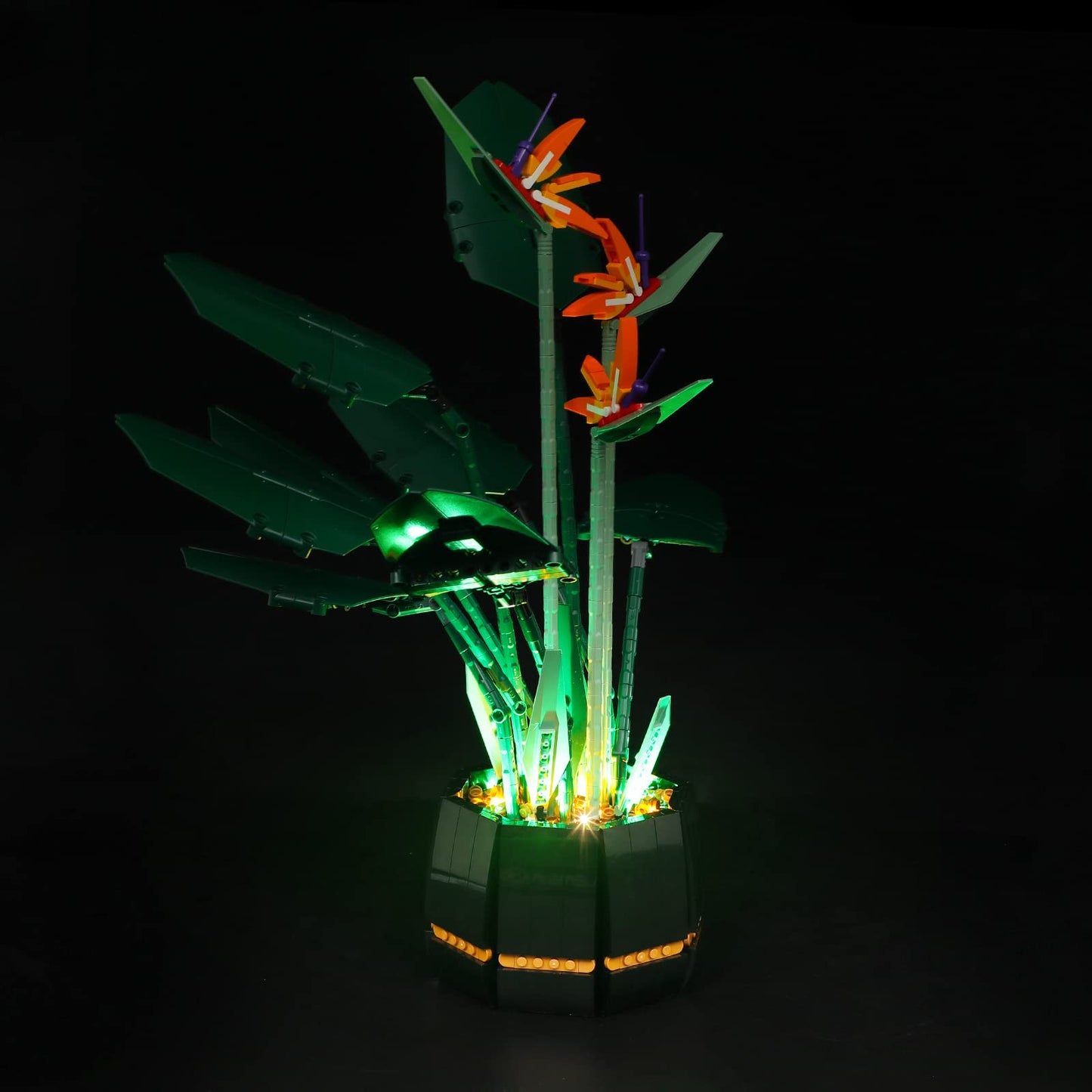 Briksmax Led Lighting Kit For Creator Bird Of Paradise - Compatible With Lego 10289 Building Blocks Model- Not Include The Lego Set