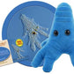 Giantmicrobes Amoeba Plush - Learn About Nature And Biology With This Cuddly Plush, Unique Gift For Family, Friends, Water Lover