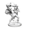 Wizkids Pathfinder Deep Cuts Unpainted Miniatures: Wave 1: Human Female Cleric