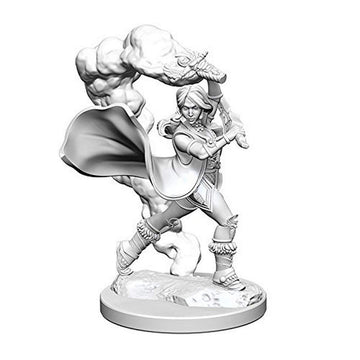 Wizkids Pathfinder Deep Cuts Unpainted Miniatures: Wave 1: Human Female Cleric